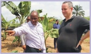 Rivers State Governor Rt. Hon. Chibuike Rotimi Amaechi (left), showing the United States of America Consul General to Nigeria, Jeffrey Hawkins the Banana Farm, a joint venture agro - project between the State government and a Mexican firm in Ueken- Tai, Rivers State, yesterday.