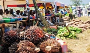 Farm produce displayed at the 2013 national agricultural show in Tudun Wada Nasarawa State, recently. Photo: NAN