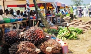 Farm produce displayed at the 2013 national agricultural show in Tudun Wada Nasarawa State, recently. Photo: NAN