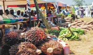 Farm produce displayed at the 2013 National Agricultural Show in Tudun Wada, Nasarawa State, recently. Photo: NAN