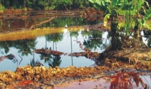 Oil spill impacted site in Ikarama community, Yenagoa LGA, Bayelsa State awaiting clean up.