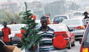 A man hawking Christmas tree in Abuja last Monday. Photo: NAN