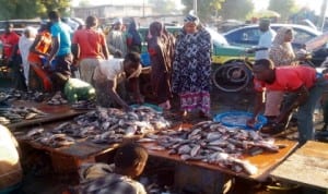 People buying fish on the road side at the Gamboru market in Maiduguri last Tuesday. Photo: NAN