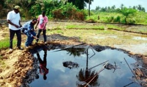 Environmentalists inspecting oil spill impacted site at Ikarama, Yenagoa Local Government Area of Bayelsa State recently.