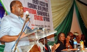  Minister of Power, Prof. Chinedu Nebo (left), declaring open the 7th Annual Nigerian Association for Energy Economics and International Association for Energy Economics' International Conference in Abuja, last Monday. Photo: NAN