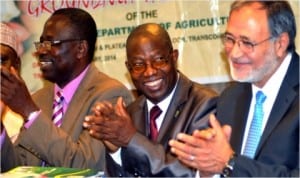 L-R: Director, Strategic Grain Reserve, Jide Olumeko, Director, Federal Department of Agriculture, Dr Odeyemi Julius and Director, West, Central  Africa International Crops Research Institute for the Semi-Arid Tropics  (ICRISAT), Dr Farid Waliya, at the launch of groundnut value chain in Abuja, last Monday.