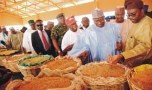 President Goodluck Jonathan (3rd right), Governor Ibrahim Shema of Katsina State (2nd right), Minister of Agriculture, Dr Akinwumi Adesina (right), during an inspection visit to the Songhai Katsina Initiative,  recently.