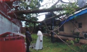 Sole Administrator, Rivers State Christian Pilgrims Welfare Board, Very Rev Msgr John K. Wangbu (right) inspecting the damage done to his office building at the State Secretariat Complex by a felling tree during a windstorm yesterday in Port Harcourt. Photo: Chris Monyanaga.