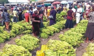 People buying bananas at Zuba fruit market in Abuja last Saturday.