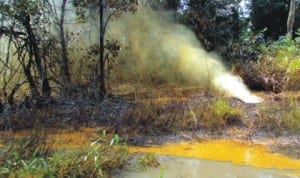 Mixture of Oil and Gas discharging into the environment at Ikarama Oil Fields operated by Nigeria Agip Oil Company in Yenagoa lga, Bayelsa, recently. Photo: NAN
