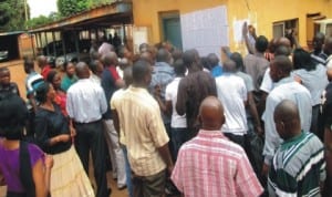 Employees of Enugu Electricity Distribution Company checking for their names last Wednesday as it laid off some workers after six-month contract following the company's privatisation. Photo: NAN