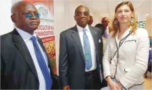 L-R: Director and Project Coordinator, Nigerian Export Promotion Council (NEPC), Mr Henry Otowo, Chief Executive Officer of NEPC, Mr Olusegun Awolowo and ITC Export Quality Expert, Mrs Ludovica Ghizzoni, at a workshop on expanding export of sesame seed and sheanut butter from Nigeria in Abuja last Wednesday.