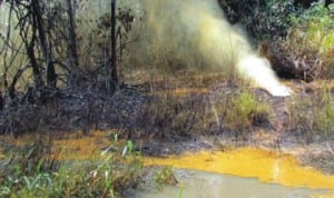 Mixture of oil and gas discharging into the environment at Ikarama oil fields operated by Nigeria Agip Oil Company in Yenagoa LGA, Bayelsa, recently.