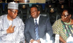 From Left: Dr Musa Babayo who represented Vice-President Namadi Sambo, Vice-Chancellor, University of Ibadan, Prof. Isaac Adewole and South-West Coordinator, Tertiary Educational Trust Fund, Mrs Anna Kolawole, at a fund raising for Adegoke Olubummo International Mathematical Centre in Ibadan last Thursday. Photo: NAN