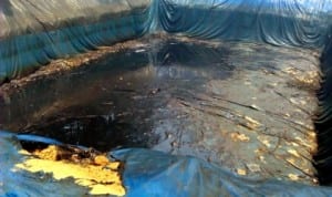 Illegal crude oil dump discovered by Naval Officers in Oteghele forest, Warri recently. Photo: NAN