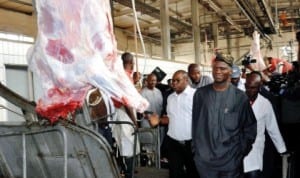L-R: Lagos Commissioner for Agriculture and Cooperatives, Mr Gbolahan Lawal, Gov. Babatunde Fashola of Lagos State and Managing Director, Harmony Abattoir Management services, Mr Moshood Bello, during Gov. Fashola's inspection visit to Agege Abattoir in Lagos, yesterday. Photo: NAN