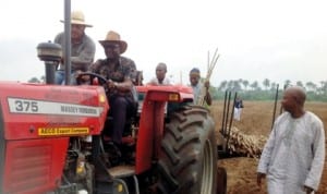 Delta State Commissioner for Agriculture and Natural Resources, Mr Misan Ukubeyinje, operating a tractor at the Federal Government cassava farm project,  to mark the commencement of cassava planting on the farm in Abraka, recently. Photo: NAN