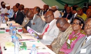 Members of National Council on Power at their inauguration in Abuja, recently. Photo: NAN