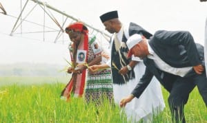 L-R: Minister Of Water Resources, Mrs Sarah Ochekpe, Vice President Namadi Sambo and Managing Director, Salini Construction Company, Dr Piero Capitanio, inspecting  rice farm, during the inauguration of Gurara Irrigation Project at Kachia Local Government Area of Kaduna State, recently.