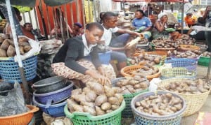 Traders displaying snails for sale at Oyingbo Market in Lagos. This is the holy week, two days before the Good Friday, when some christians eat snail instead of meat, to mark the crucifixion of Jesus Christ.                                    Photo: NAN