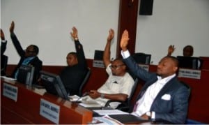 Lawmakers voting to approve the Caretaker Committee members screened yesterday in the House of Assembly.