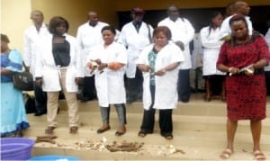 Participants at a training on cassava processing by West Africa Agricultural Productivity Programme (WAAPP) in Uyo yesterday.