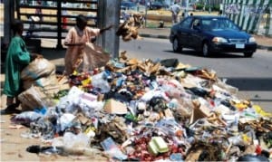 Scavengers at a refuse dump in Bauchi