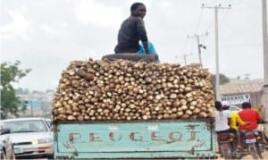 Vehicle loaded with cassava being transported to the  market in Nasarawa State recently