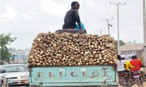 Vehicle loaded with cassava being transported to the  market in Nasarawa State recently