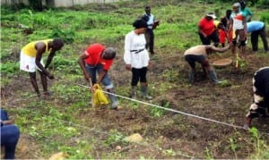 Participants on  field  praticals at the West Africa Aquaculture Productivity Programme's training on Aquaculture Business in Ibadan, recently.