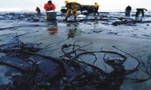 An oil spill polluted site in the Niger Delta
