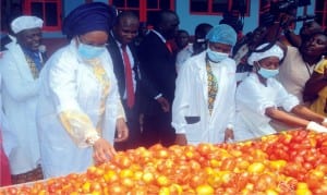 Wife of the President, Mrs Aisha Buhari (2nd left), inspecting  fresh tomatoes, at the inauguqration of  Erisco Foods Tomato Paste Revolution  in Lagos  recently. With her is the President/Chief Executive of Erisco Foods Ltd., Chief  Eric Umeofia (3rd left).