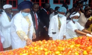Wife of the President, Mrs Aisha Buhari (2nd left), inspecting fresh tomatoes at the inauguration of Erisco Foods Tomato Paste Revolution, in Lagos, recently. With her is President/Chief Executive of Erisco Foods Ltd., Chief Eric Umeofia (left).