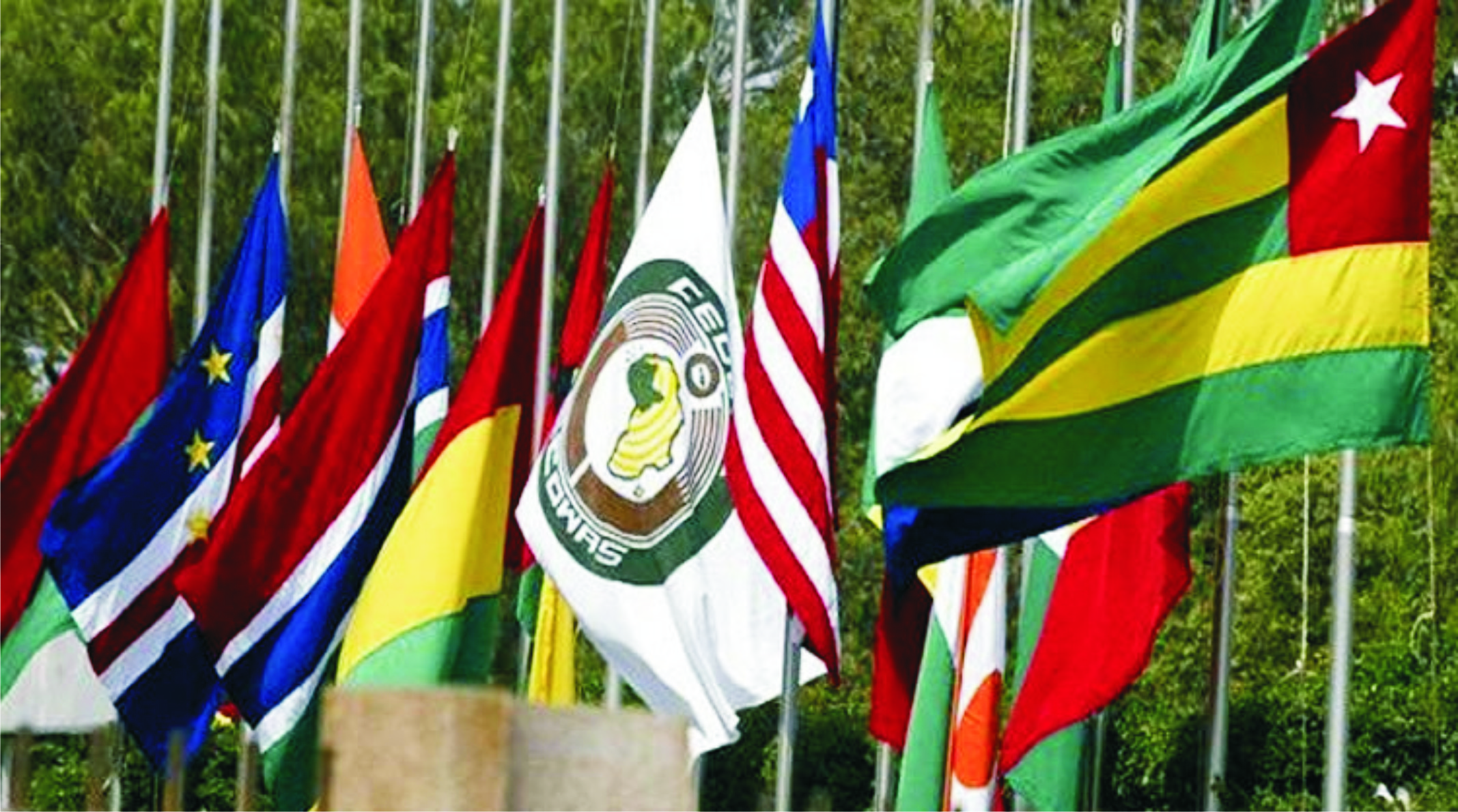 Image result for WAPP plans full interconnection for 14 ECOWAS countries